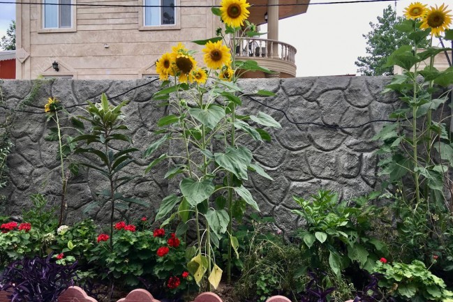 اجاره ویلای ساحلی تیجا-میجا در زیباکنار