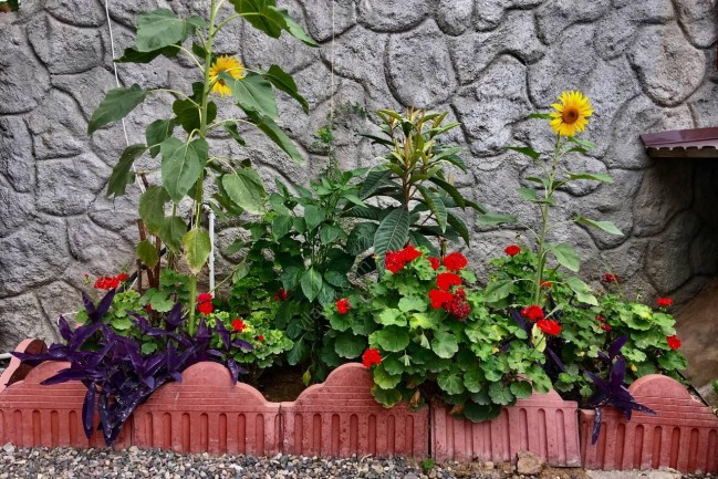 اجاره ویلای ساحلی تیجا-میجا در زیباکنار