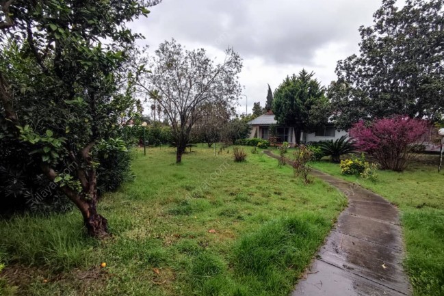 چهار خواببا حسین ابداهیمی