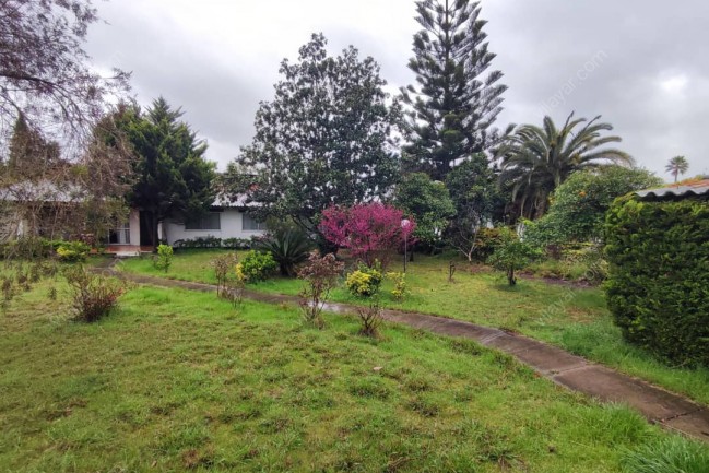 چهار خواببا حسین ابداهیمی