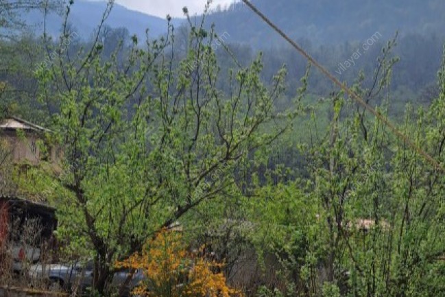 اجاره ویلای جنگلی و کوهستانی سه هزار