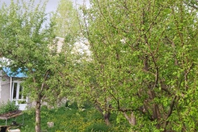اقامتگاه سنتی قینرجه(شاهنشین)