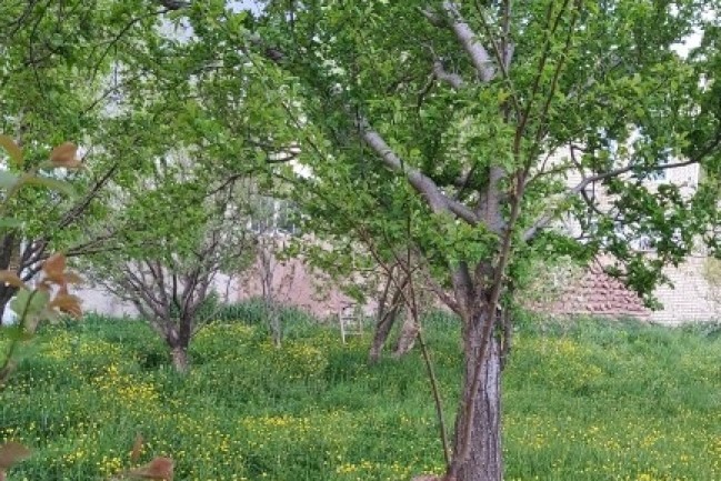 اقامتگاه سنتی قینرجه(شاهنشین)