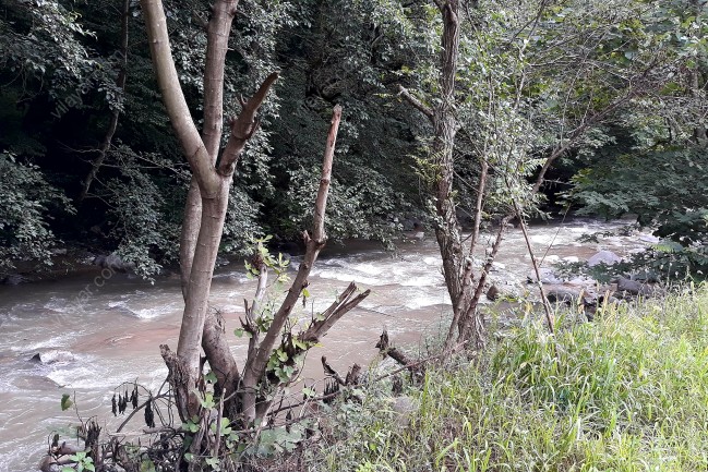 رزرو ویلای جنگلی لبه رودخانه در گیلان