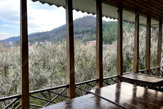 اجاره عمارت سنتی و جنگلی تالش