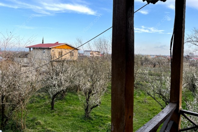 اجاره عمارت سنتی و جنگلی تالش