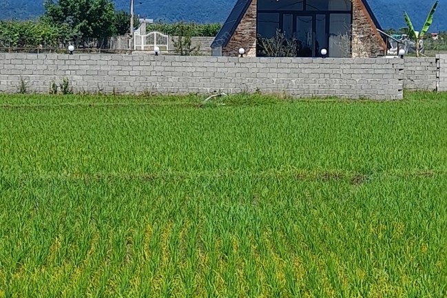 اجاره کلبه سوییسی تالش