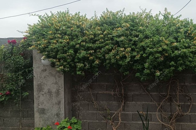 اجاره ویلای دربستی شمال فقط خانواده