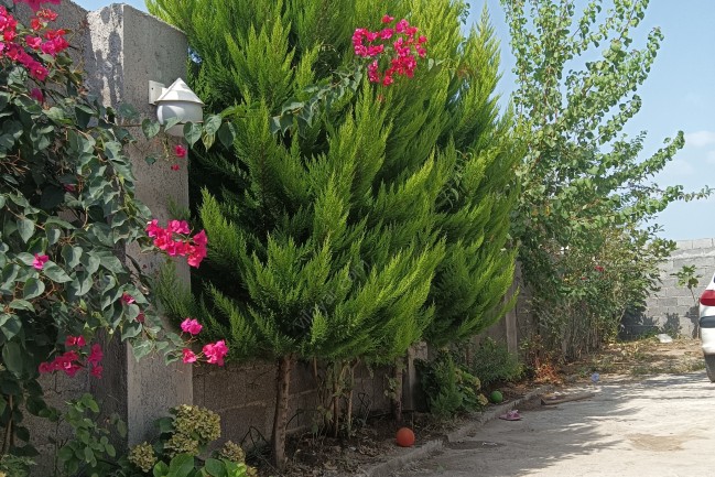 اجاره ویلای دربستی شمال فقط خانواده
