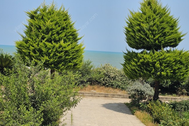 اجاره ویلا ساحلی در شهرک دریاکنار(ویلا شخصی)