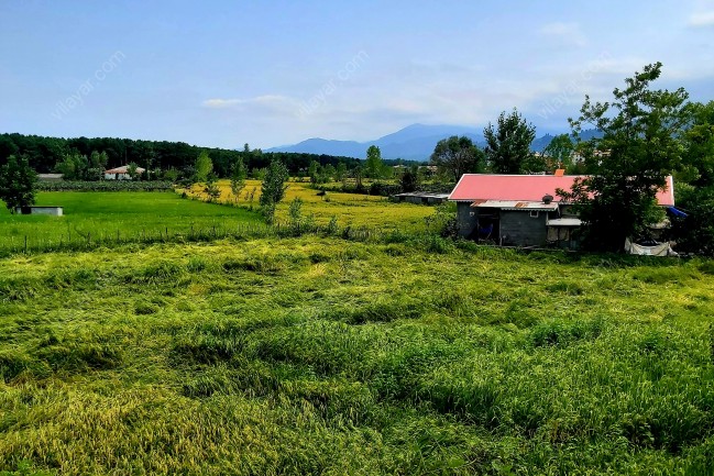 اجاره ویلای اسپیناز یک تالش