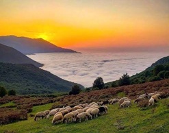 هشتپر، تالش، گیلان