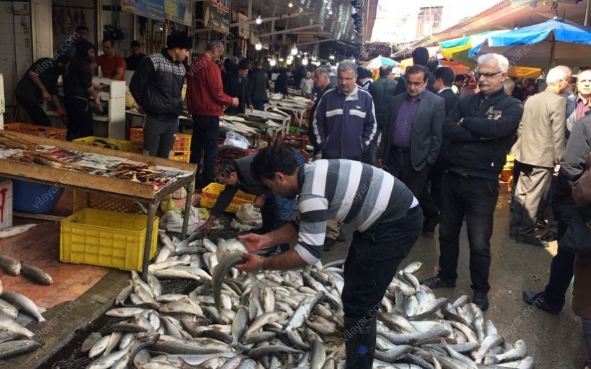 بازار ماهی فروشان فریدونکنار