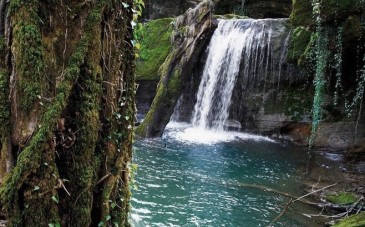 سفر به طبیعت بی‌نظیر آبشار تیرکن
