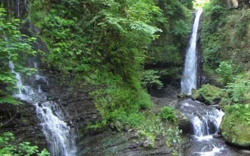 جنگل و آبشار زیارت