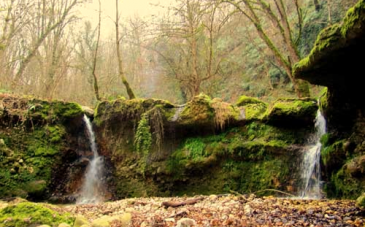 جنگل و آبشار رنگو