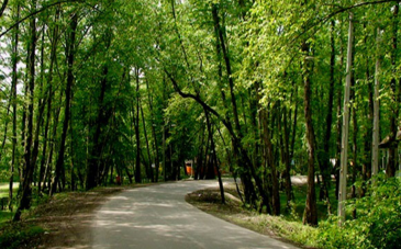 پارک جنگلی کشپل در کدام استان است؟