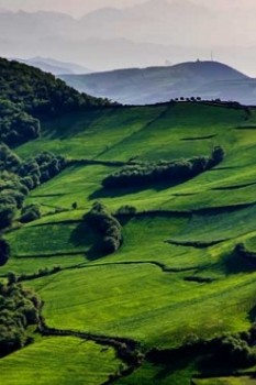شهرستان مینودشت بهشت گلستان