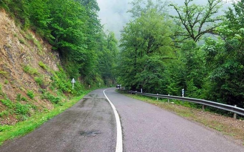 جنگل دالخانی؛ قطعه ای از بهشت در ایران