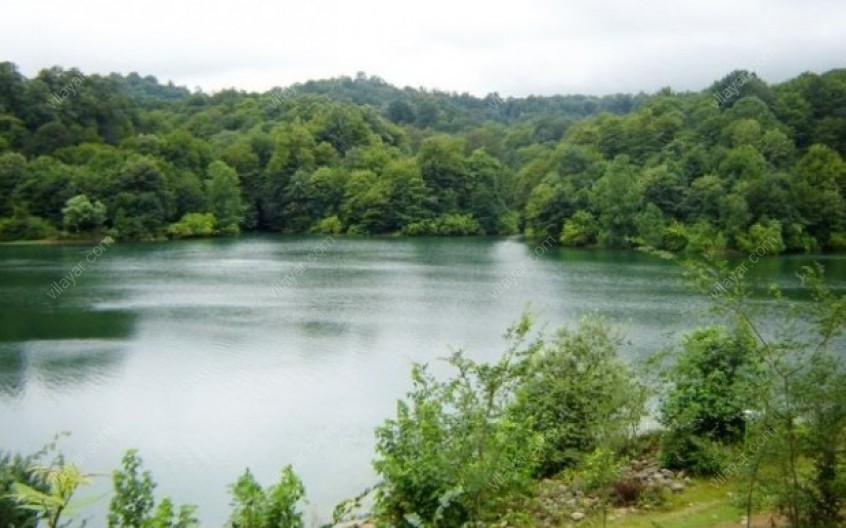 چمستان؛ گنجینه ای سرسبز در مازندران