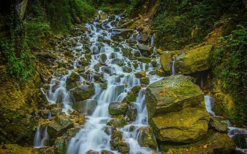 چمستان؛ گنجینه ای سرسبز در مازندران