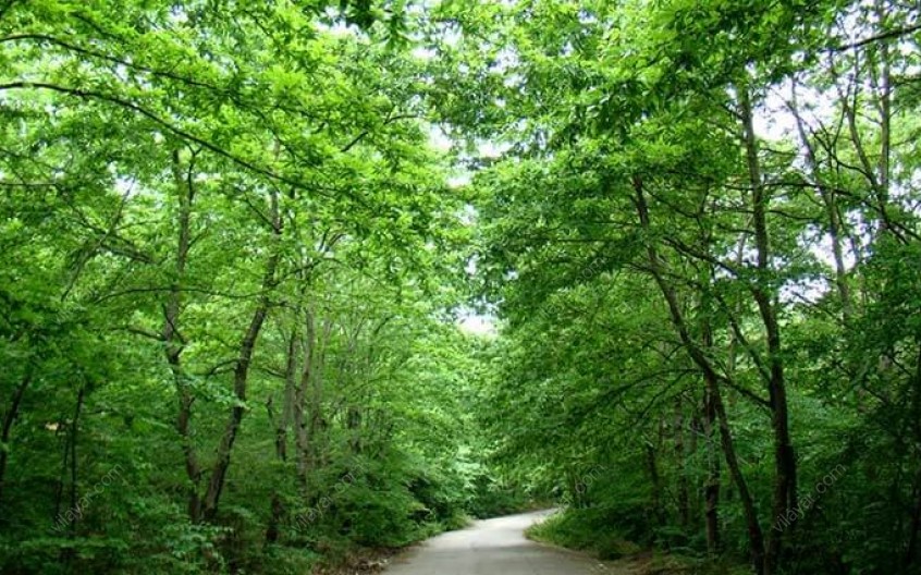 دیدار با روستای کهن سال اسب چین