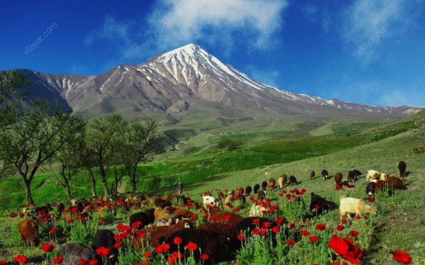 روستای پلور؛ مقصدی خنک برای سفرهای تابستانه