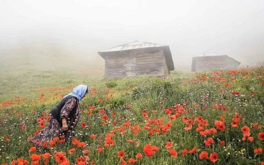 ییلاق سوباتان؛ منطقه ‌ای با چشم ‌اندازهای بی ‌نظیر در استان گیلان