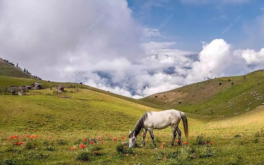 ییلاق سوباتان؛ منطقه ‌ای با چشم ‌اندازهای بی ‌نظیر در استان گیلان