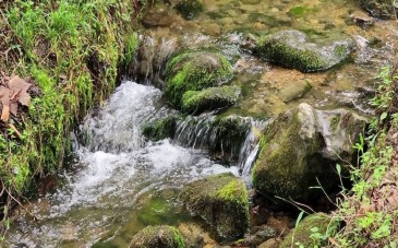 چشمه دمکش چابکسر؛ چشمه اسرارآمیزی که شفابخش است