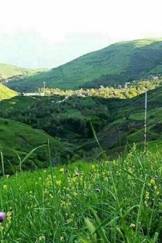 آلیله روستایی با میراثی ارزشمند