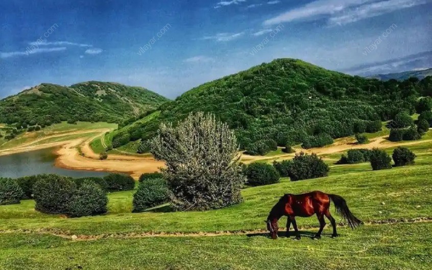 دریاچه سوها اردبیل؛ مقصدی ایده ‌آل برای علاقه ‌‌مندان به طبیعت
