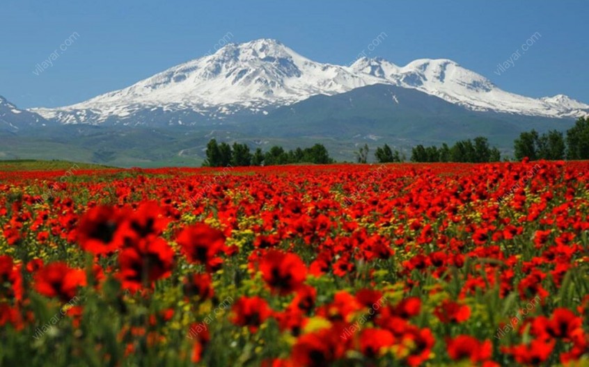 کوه آتشفشانی سبلان؛ سومین قله مرتفع در ایران