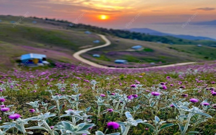 قطره ای آرامش در ییلاق سلانسر