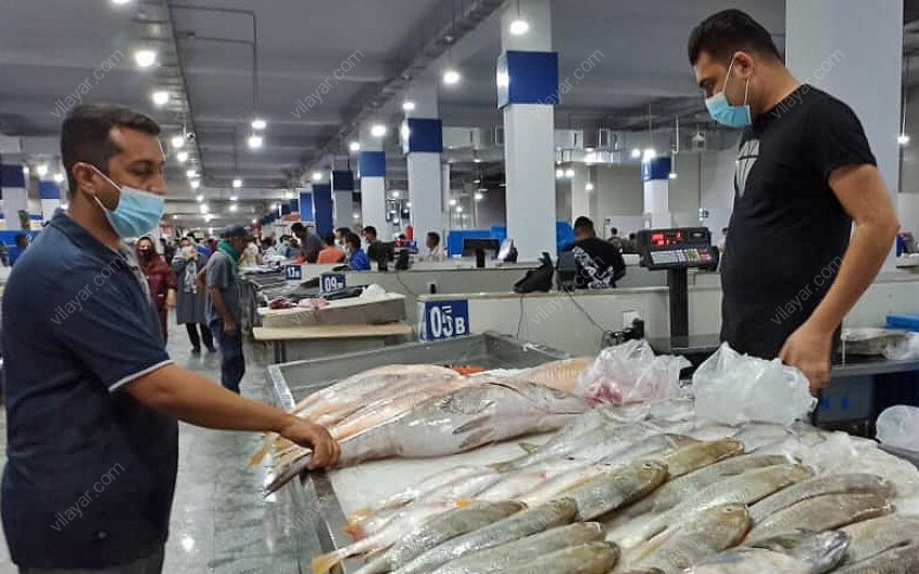 بازار ماهی فروشان بندرعباس، قطب فروش ماهی جنوب