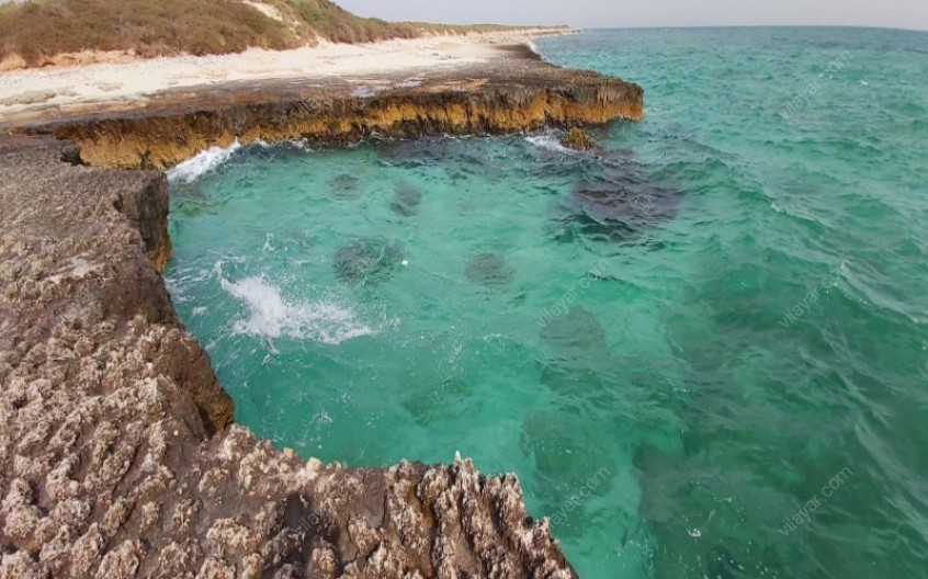 جزیره شیدور یکی از بکرترین جزایر خلیج فارس با وسعت 2/1 کیلومتر