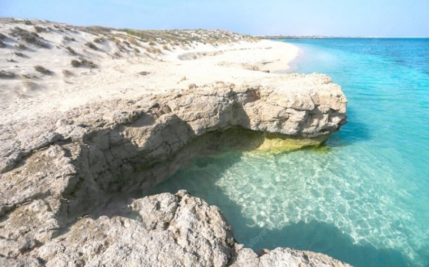 جزیره شیدور یکی از بکرترین جزایر خلیج فارس با وسعت 2/1 کیلومتر