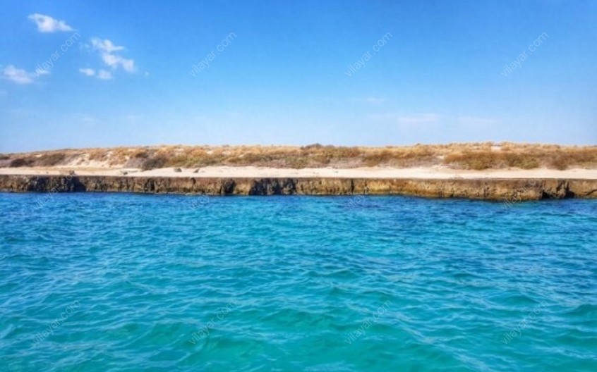 جزیره شیدور یکی از بکرترین جزایر خلیج فارس با وسعت 2/1 کیلومتر