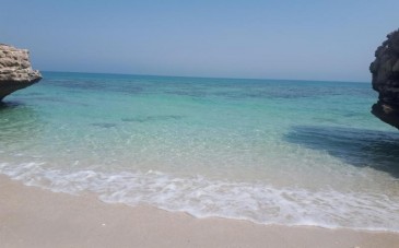 جزیره شیدور یکی از بکرترین جزایر خلیج فارس با وسعت 2/1 کیلومتر