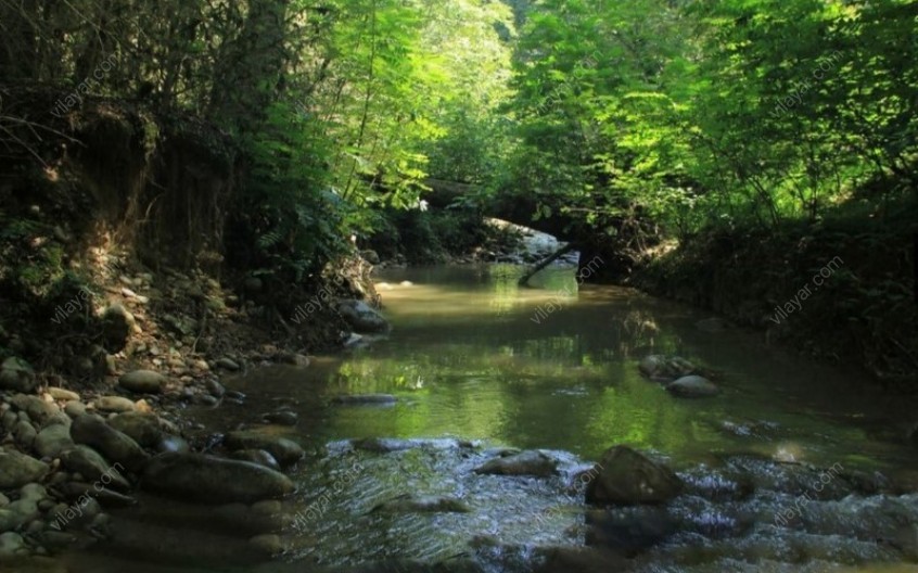 آبشار بدو؛ سفری به قلب زیبایی های بندر لنگه