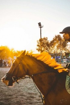 باشگاه سوارکاری کلهر؛ تجربه ای متفاوت از اسب سواری در جزیره کیش