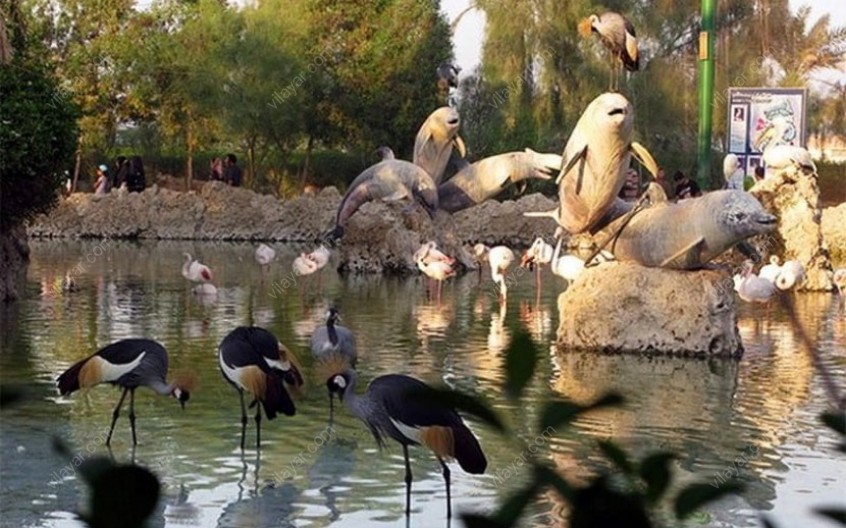 باغ پرندگان کیش؛ میزبان بیش از 50 گونه پرنده از سراسر جهان