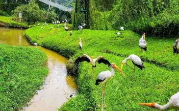 باغ پرندگان کیش؛ میزبان بیش از 50 گونه پرنده از سراسر جهان