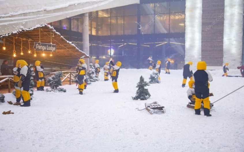 پارک برفی پنگوئن؛ دنیایی یخی در قلب آفتاب کیش