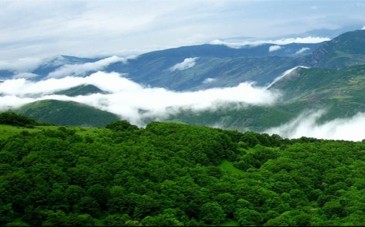 جنگل دیزمار؛ یک میراث طبیعی در استان آذربایجان شرقی