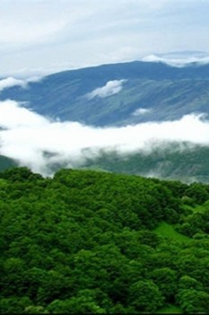 جنگل دیزمار؛ یک میراث طبیعی در استان آذربایجان شرقی