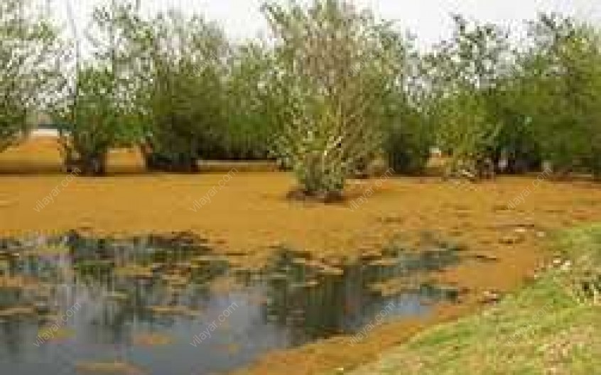 تالاب ذوالبین؛ از جاهای دیدنی هشترود