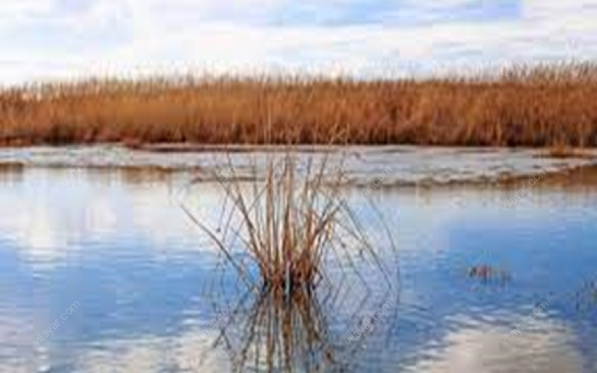 تالاب ذوالبین؛ از جاهای دیدنی هشترود