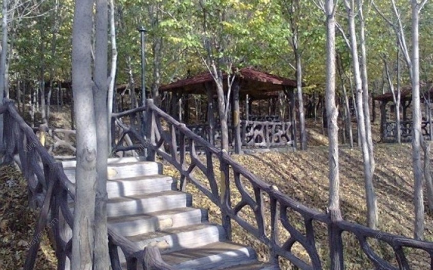 سفر به سردرود