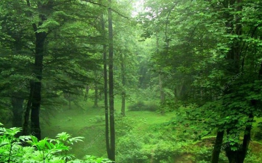 سفر به مازندران در فصل بهار به همراه معرفی بهترین لوکیشن‌ها